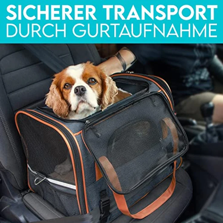 HUND IST KÖNIG® Hundetasche Katzentasche bis 6,5kg - robust & formstabil | Hochwertige Hundetragetasche | Transporttasche Katze - faltbar & leicht zu verstauen | Hundebox Auto Transportbox Katze – Bild 5