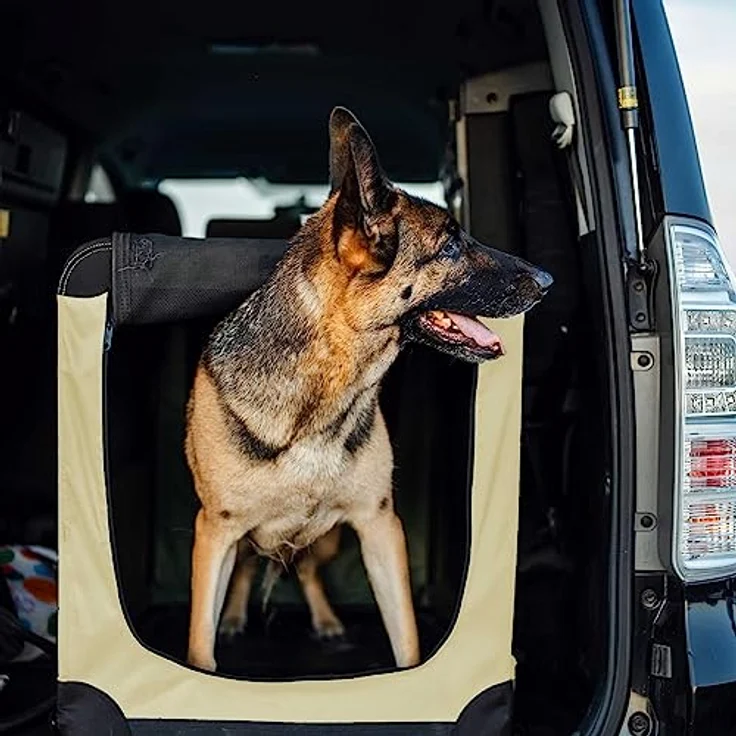 Fudajo Faltbare Transportbox für Hunde, Katzen XL (80x58x56cm), robust, leicht, sicher, mit Tragegriff und Decke, Beige – Bild 2