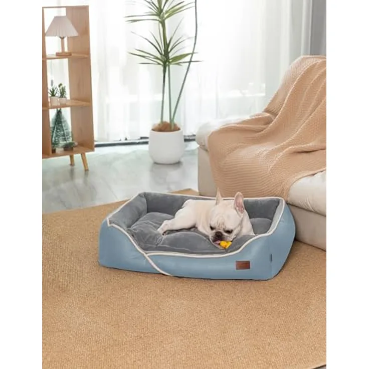 RAIKOU Weiches Hundebett, Hundekissen mit kuscheligem Plüsch, gepolstertes waschbares Haustierbett Hundesofa Hundekorb (Blau, 80 * 60 * 7)