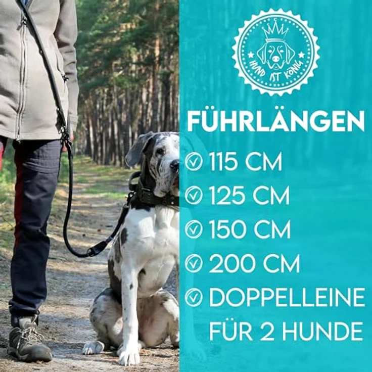 HUND IST KÖNIG® Hundeleine verstellbar 2,3m | Robuste Hunde Leine mit Sicherheitskarabiner | 3-Fach verstellbar für mittelgroße & große Hunde Schwarz – Bild 4