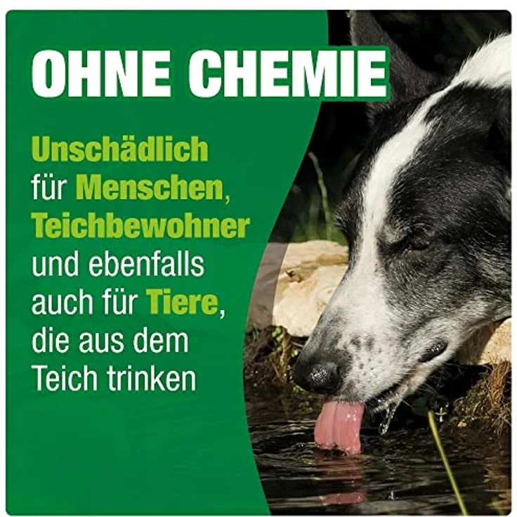 AQUALITY Gartenteich Bio-TeichKlärer 3in1 (Teichklar - Nachhaltig kristallklares Wasser, entfernt deutlich Trübungen im Teich + GRATIS Klarwasser Filtervlies), Inhalt:1 Liter – Bild 5