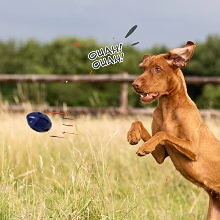 BI International Hundespielzeug zum Werfen, Kauspielzeug aus 100% Naturkautschuk für kleine, mittlere und große Hunde, wasserfest mit Quietschfunktion und Zahnreinigung – Bild 2