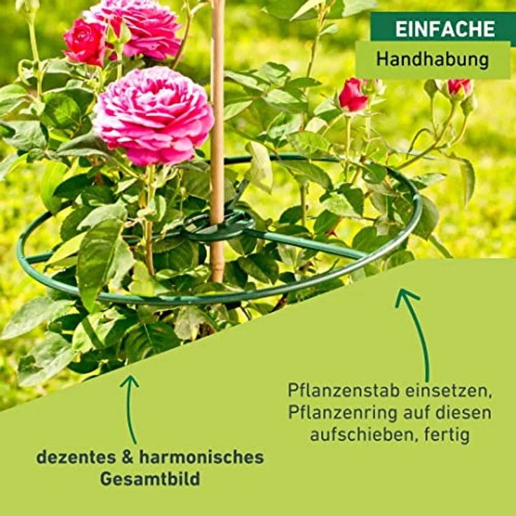 Windhager Pflanzenring Pflanzenstütze Staudenhalter Blumenstrütze Strauchstütze, grün, Ø 40 cm, 3 Stück, 06251 – Bild 5