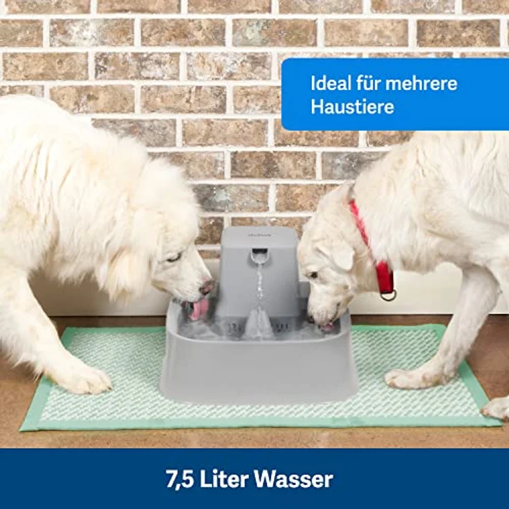 PetSafe 7,5 Liter Trinkbrunnen Drinkwell für Hunde und Katzen, Duales Filtersystem, aus BPA-freiem Kunststoff, Grau – Bild 4