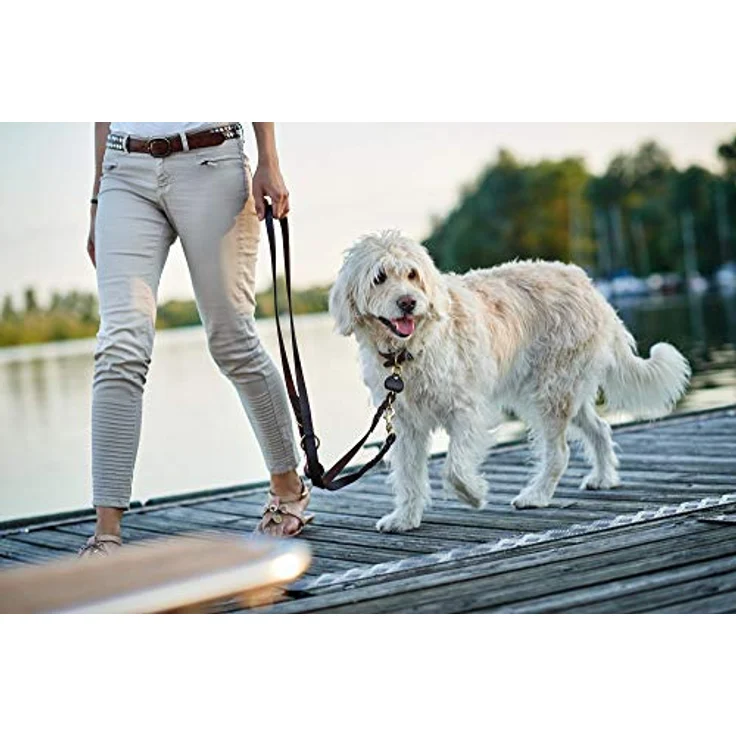 Hunter Hunde-Leine verstellbar Sansibar Solid dunkelbraun 20-200 – Bild 4
