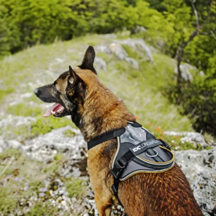 JULIUS K-9 IDC Longwalk Geschirr, Rosa-Grau, Größe XS - Bequemes Geschirr für lange Spaziergänge – Bild 3