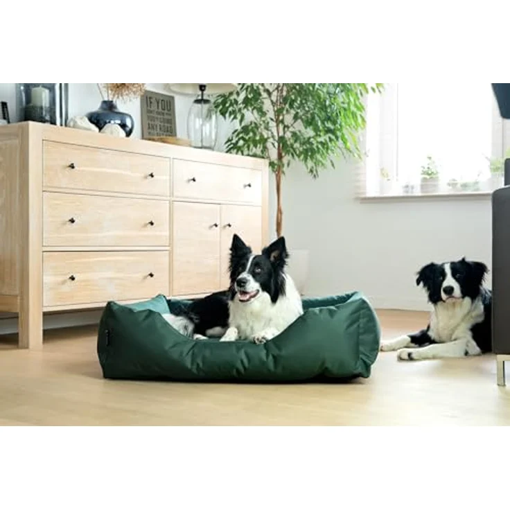 BedDog Hundebett Zara, Hundekissen mit abziehbaren waschbaren Bezug, Hundekorb, Hundesofa, für große Hunde, XXXL, Cordura und Microfaser-Velours, beige – Bild 5