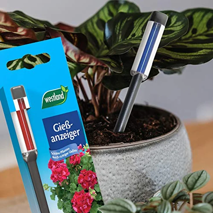 Seramis Westland Gießanzeiger für alle Pflanzen in Blumenerde, Kein Batteriebetrieb, Kunststoff, Höhe: 16 cm, Gießanzeiger, Anthrazit Bewässerungszubehör – Bild 4
