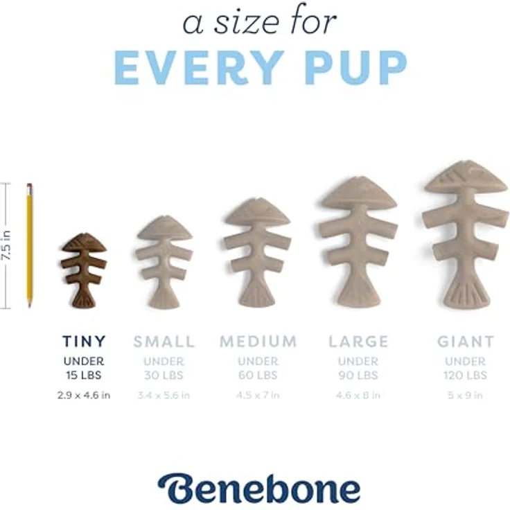 Benebone Fishbone Puppy 2er Pack Mini 12cm - Hundespielzeug, blau – Bild 4