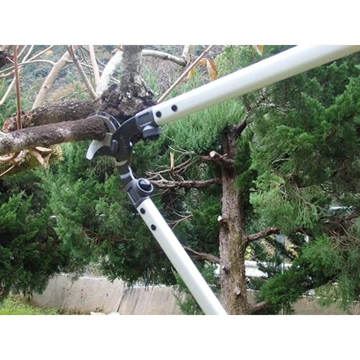 ARS LPB-30L, Baumschere, 1372-00 – Bild 5