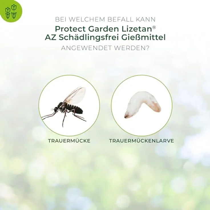 Bayer Schädlingsfrei Lizetan Gießmittel AZ 30 ml – Bild 3