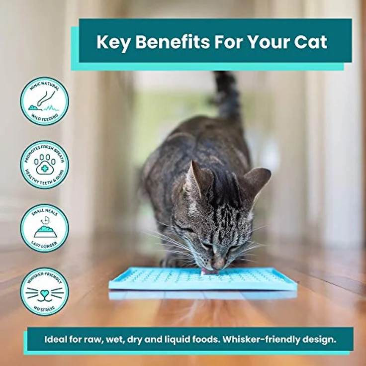 Lickimat Classic Buddy Katzenfutterstation für langsame Katzen gegen Langeweile und Angstreduzierung, perfekt für Futter, Leckerlis, Joghurt oder Erdnussbutter. Lustige Alternative zu einem Slow Feed Katzennapf oder -schale, Violett – Bild 4