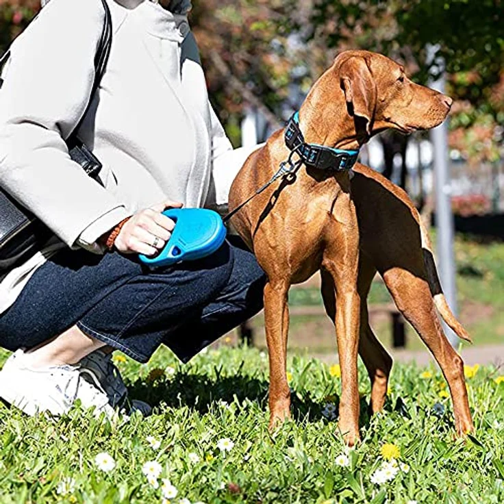 Ferplast Hundeleine Flippy ONE, Rollleine für mittelgroße Hunde bis 25 kg, ausziehbares Gurtband bis 5 m, ergonomischer Knopf, hellblau – Bild 4