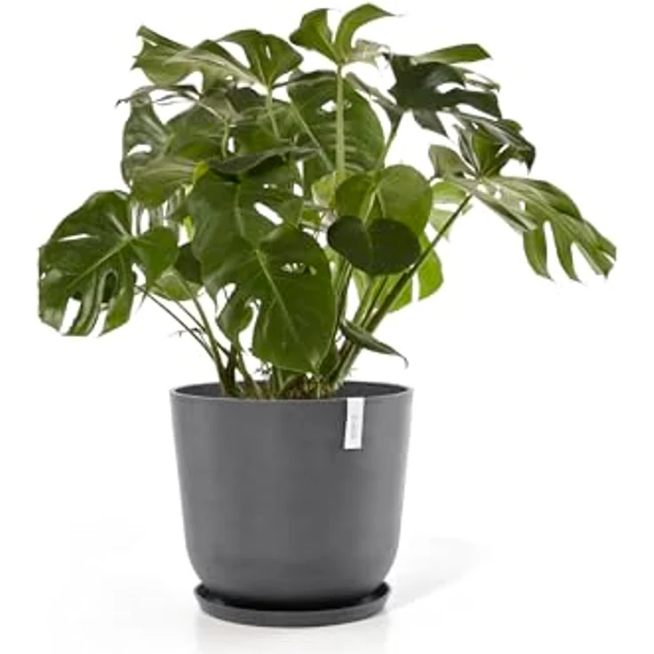 Ecopots Decolines 55 cm Ø graue Kunststoff-Blumentöpfe | Wetterfest für Balkon und Terrasse | Recyceltes Material für langlebigen Gebrauch – Bild 7