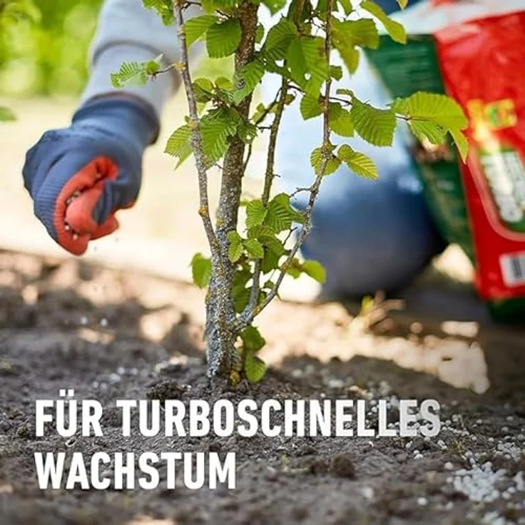 Compo Spezialdünger Heckenturbo, 4 kg – Bild 5