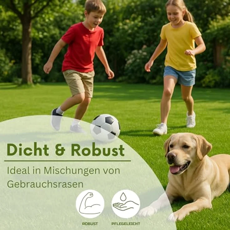 Samenshop24 Deutsches Weidelgras lolium perenne 1kg – Bild 4