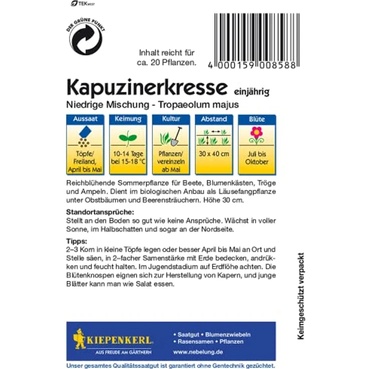 Kapuzinerkresse niedrige, Mischung – Bild 3