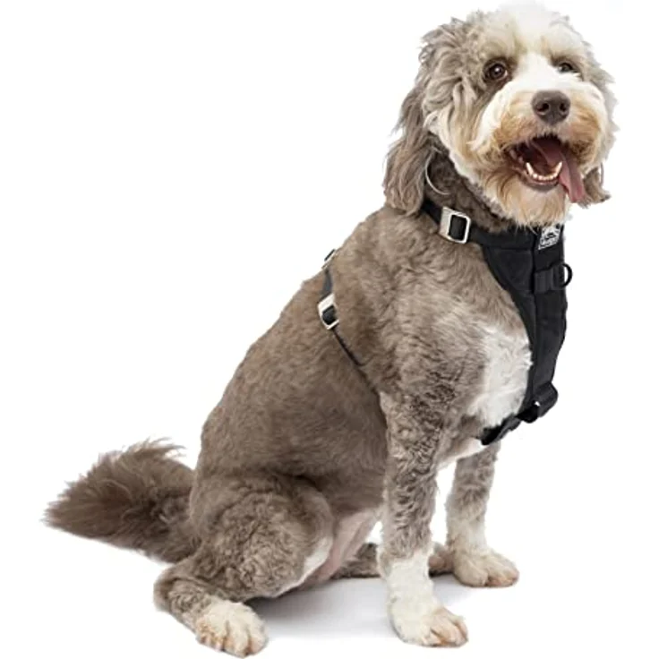 Kurgo TRU-Fit No Pull Hundegeschirr mit Frontclipfunktion, sicherer Hundegurt fürs Auto, Größe X-Large (sehr groß), zertifizierter Crash-Test, anpassbar und komfortabel – Bild 2