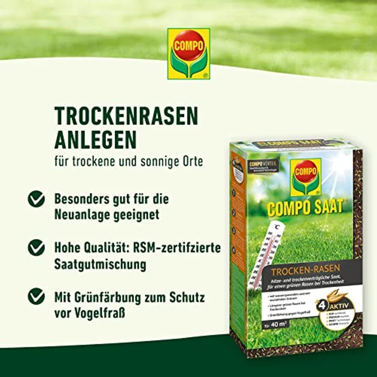 COMPO SAAT Trocken-Rasen, 2 kg für 80 qm – Bild 12