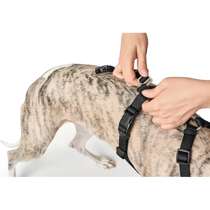 Hunter Sicherheits-Geschirr Vario Rapid schwarz S-M – Bild 5