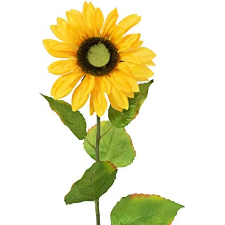 EUROPALMS Sonnenblume, Kunstpflanze, 70cm | Sonnenblume mit langem Stiel