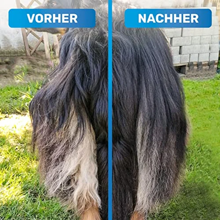 BluePet GlanzTanz Fellentwirrer Entfilzer für Langhaar Hunde und Katzen - Hochwertiger Hundestriegel mit zwei Reihen Pins - Löst Knoten & Verfilzungen - Glättet & Entwirrt das Deckhaar (Blau) – Bild 3