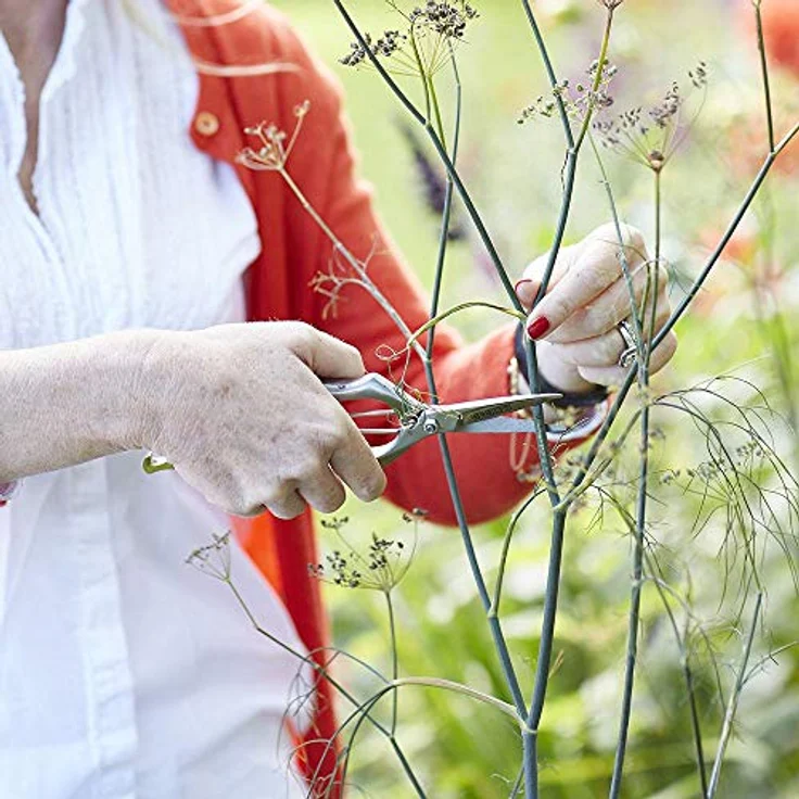 Sophie Conran Präzisions-Gartenschere – Bild 2
