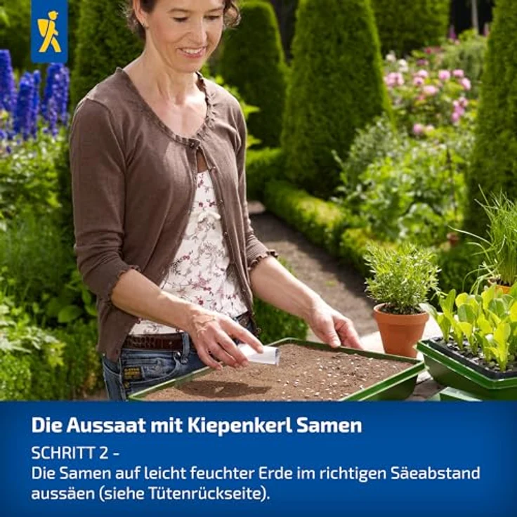 Kiepenkerl Profi-Line Obstsamen Erdbeere Tresca, kompaktwachsende Erdmbeere mit großen aromatischen Früchten, Erntezeit Juli – Bild 4