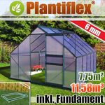 Plantiflex Aluminium Gewächshaus 250x310 cm - 7,75 m² mit Fundament - 6mm Verglasung, grün, Garten Pflanzenhaus 11,58m³ Alu Treibhaus Tomatenhaus