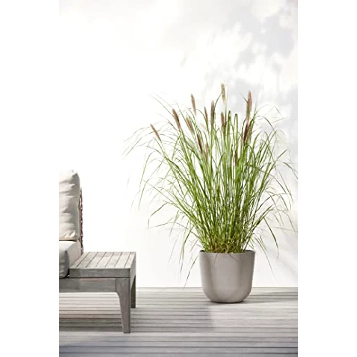 Ecopots ECOPOTS Oslo met waterreservoir - taupe Ø 25 cm, nachhaltiges Pflanzgefäß aus recyceltem Kunststoff – Bild 5