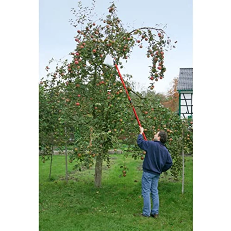 Meister Obstpflücker mit Teleskopstiel - Apfelpflücker Erntehelfer Obst Sammler – Bild 3