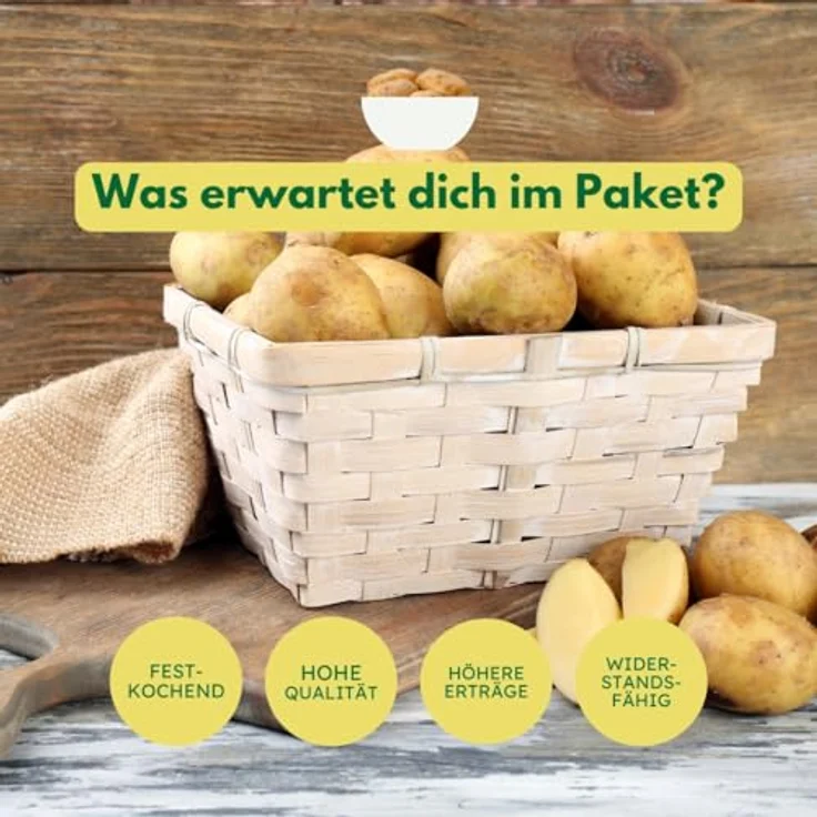 Samenshop24 Pflanzkartoffeln Linda 5 kg – Bild 5