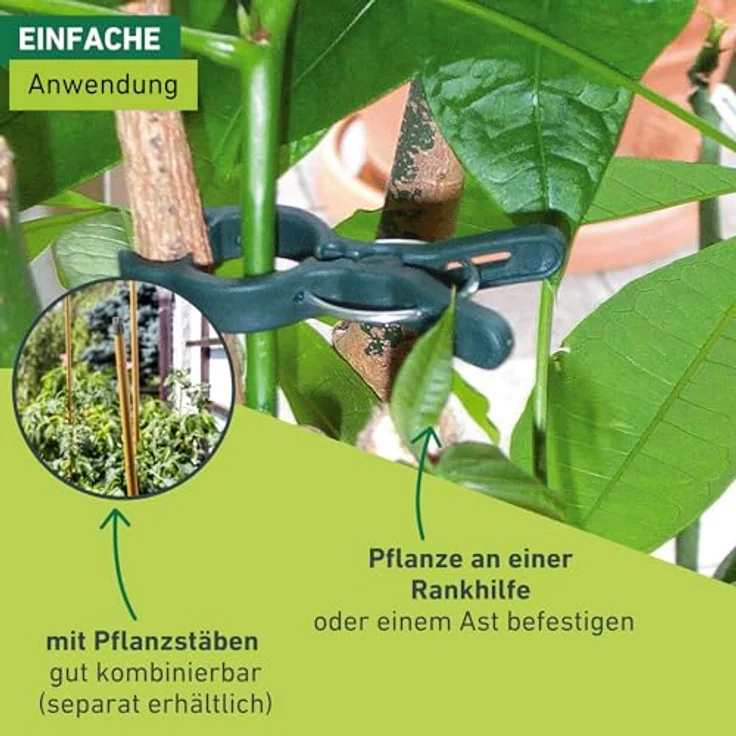 Windhager Pflanzenclips FIX, 12 Stück, grün, witterungsbeständig und wiederverwendbar, Zugfestigkeit 1000 PSI – Bild 5