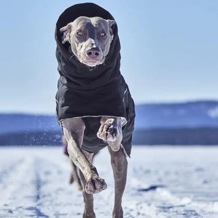 HURTTA Hundemantel Extreme warmer III (Wärmejacke) mit recycelten Materialien, raven (schwarz) – Bild 6