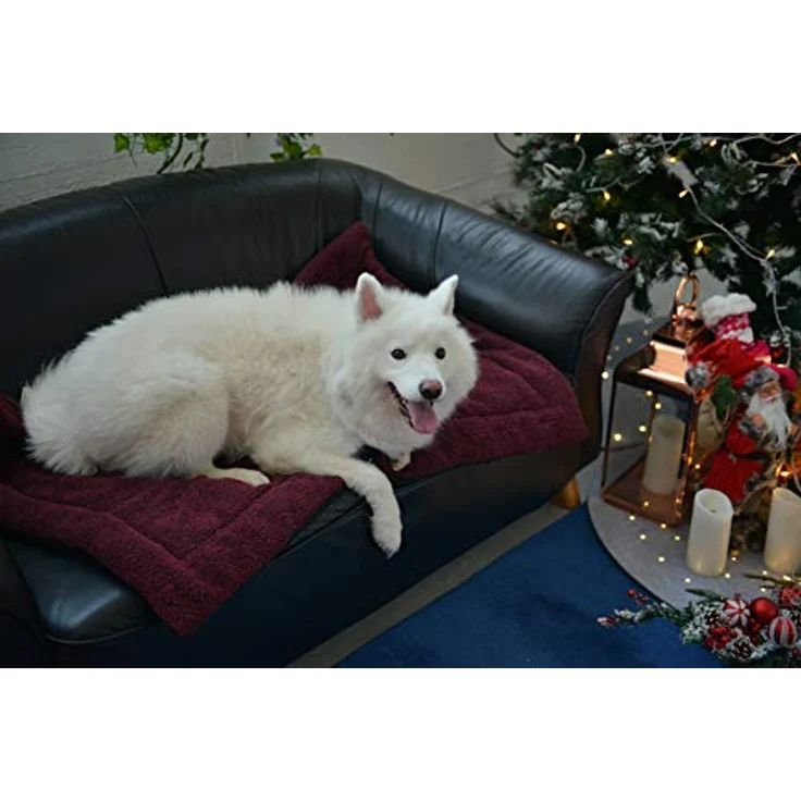 RAIKOU Hundedecke Katzendecke Haustier-Decke mit Plüsch Kissen Fleece-Decke/Tier Schlafdeck Hundebett Haustierbett, waschbar und rutschfest（Dunkelrot Melange,60x40cm – Bild 2