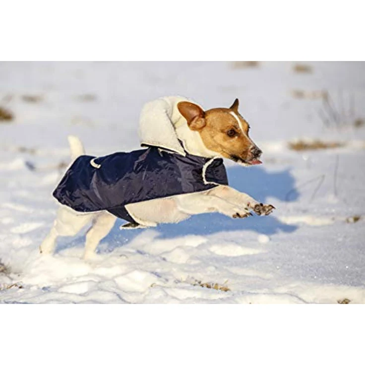 Kerbl Hundemantel TEDDY Länge 27 cm Bauchumfang 32-43cm – Bild 5