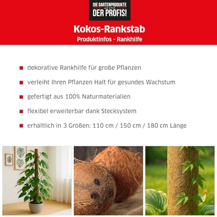NOOR Kokos-Rankhilfe mit Holzstiel, verlängerbare Pflanzhilfe aus 100% Naturmaterial, stabile Kletterhilfe für Pflanzen, Kokosstab 150 x 7 cm Ø – Bild 4