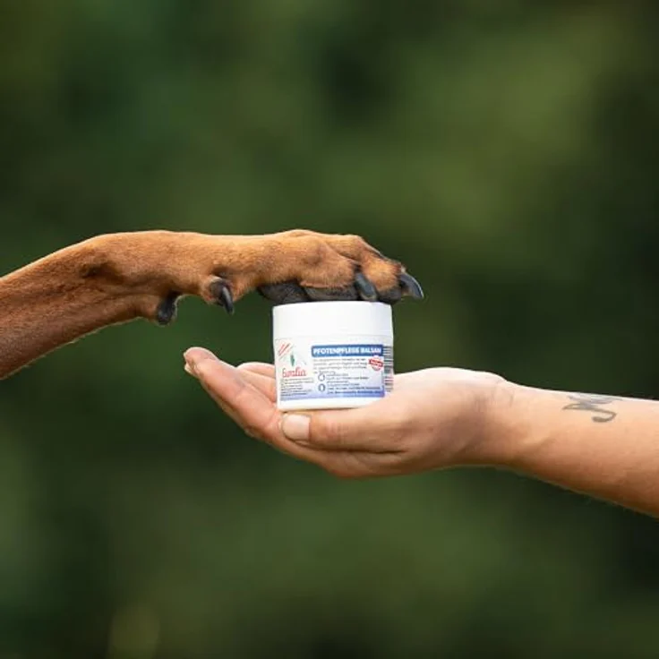NEU! EWALIA Pfotenpflege Balsam für Hunde - Schenken Sie Ihrem Liebling den Komfort geschmeidiger Pfoten - mit Tierärzten entwickelt, 100% Natur pur, frei von Zusätzen - 100ml – Bild 3
