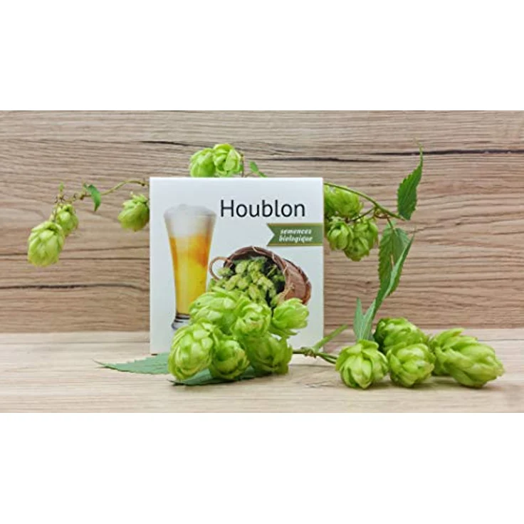 Feel Green Ecocube Hopfen, Anzuchtset für Craft Beer im Holzwürfel, 100% Eco Friendly, Made in Austria – Bild 5