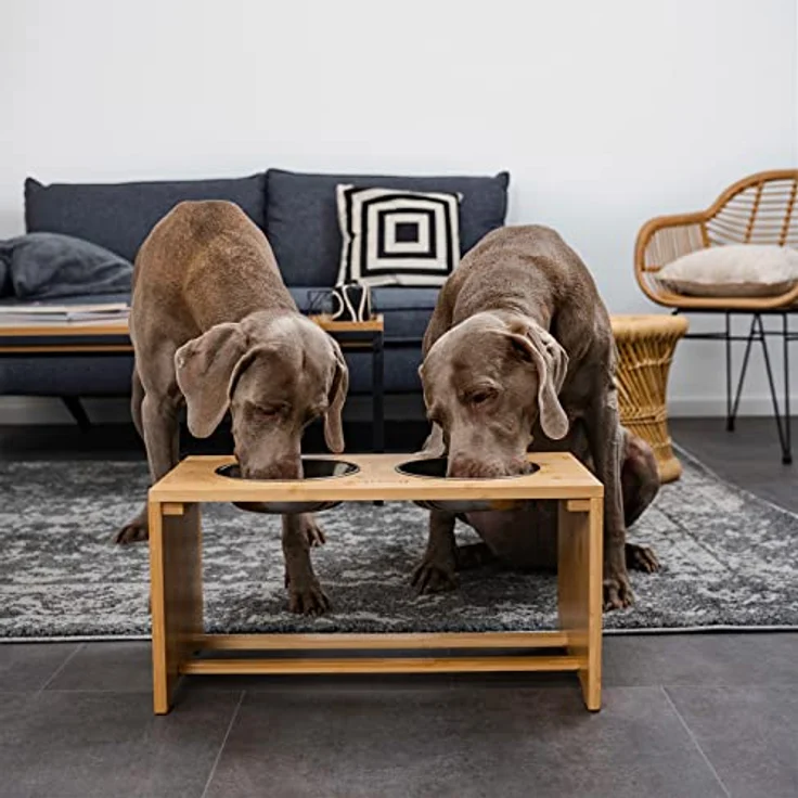 lionto erhöhter Hundenapf Futterstation für Hunde Futterbar für Haustiere aus Bambus 2 Näpfe aus Edelstahl rutschfest, (L) 50x26x26 cm – Bild 2