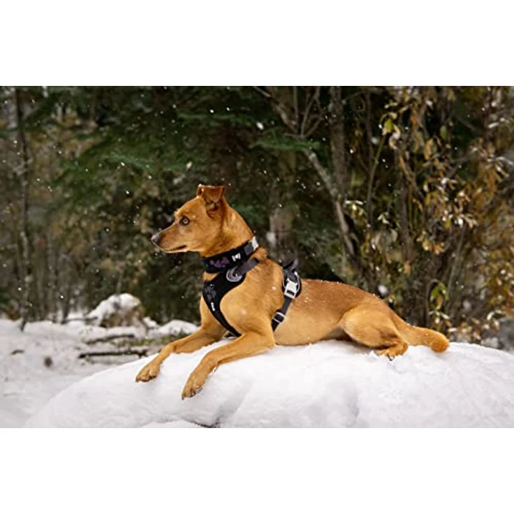 Hurtta - Weekend Warrior Harness - 80-100 cm - Schwarz - 1 Stück – Bild 2