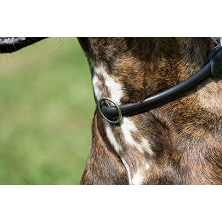 Kieffer Ausbildungshalsband Ultrasoft® – Bild 3