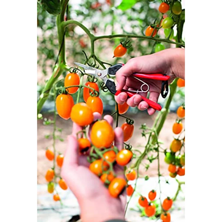 FELCO 322 Leseschere – Bild 5