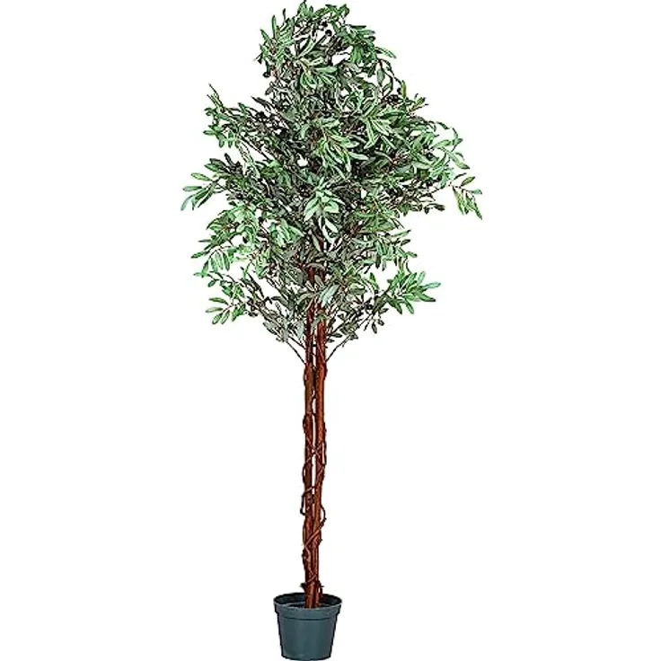 PLANTASIA Kunstpflanze Olivenbaum 180 cm, mit authentischem Stamm und 2256 Blättern und Früchten