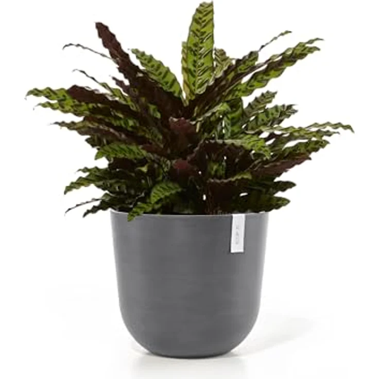 Ecopots Decolines 45 cm Ø graue Kunststoff-Blumentöpfe für den Außenbereich, wetterfest | Balkon- und Terrassentöpfe, Pflanzgefäße | Recyceltes Material, designed für 10 Jahre – Bild 3