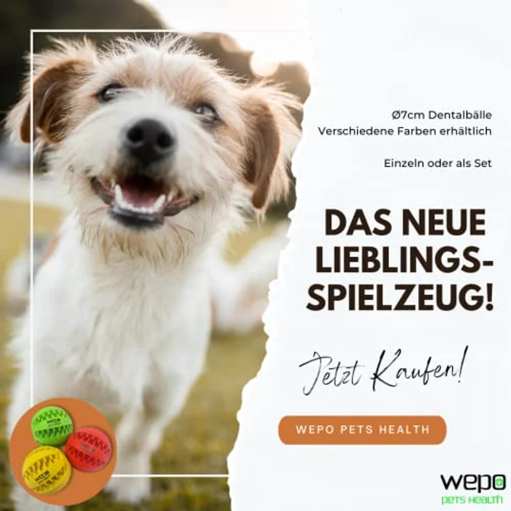 WEPO Zahnpflege Ball Hund - Ø 7cm grün - Zahnpflegespielzeug Hund aus Naturkautschuk - Kauball - Ball mit Zähnen Hund zum Befüllen - Hilft bei Zahnstein zu gesünderen Zähnen – Bild 5