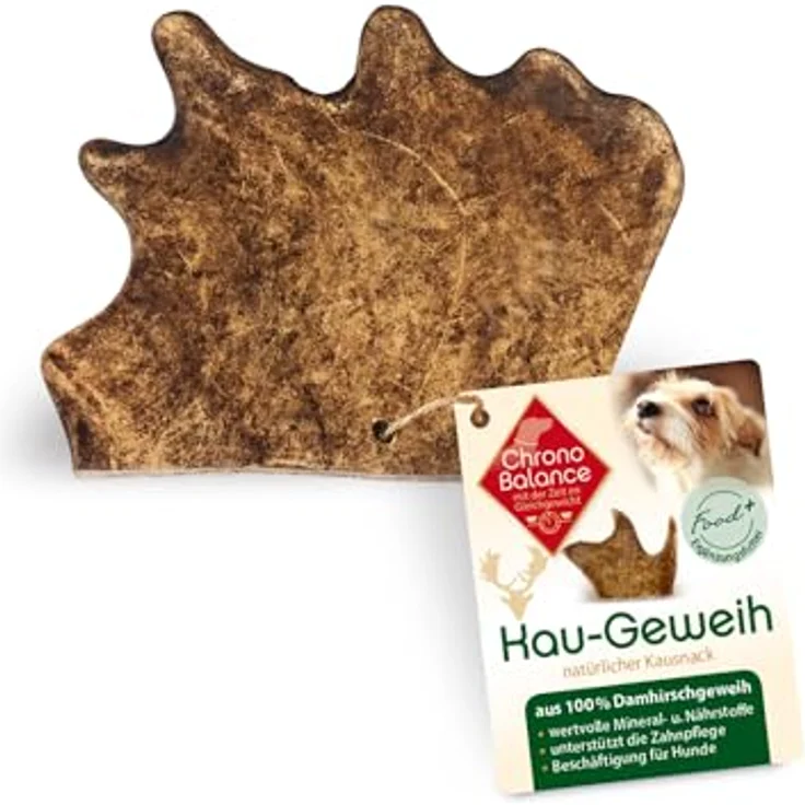 ChronoBalance® XXL Kaugeweih Damhirsch für Hunde als Kauspielzeug: 100% Geweih Abwurfstange Kaustange Hundespielzeug zur Zahnpflege, natürlicher Kausnack, Mineralstoffe & Nährstoffe – Bild 1