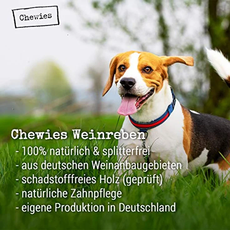 Chewies Kauknochen aus Weinreben für Hunde - Kau-Spielzeug natürlich, nachhaltig, mineralstoffreich, Holz ohne Schadstoffe (geprüft) - Größe XS: Für Hunde bis 5 kg Körpergewicht – Bild 3