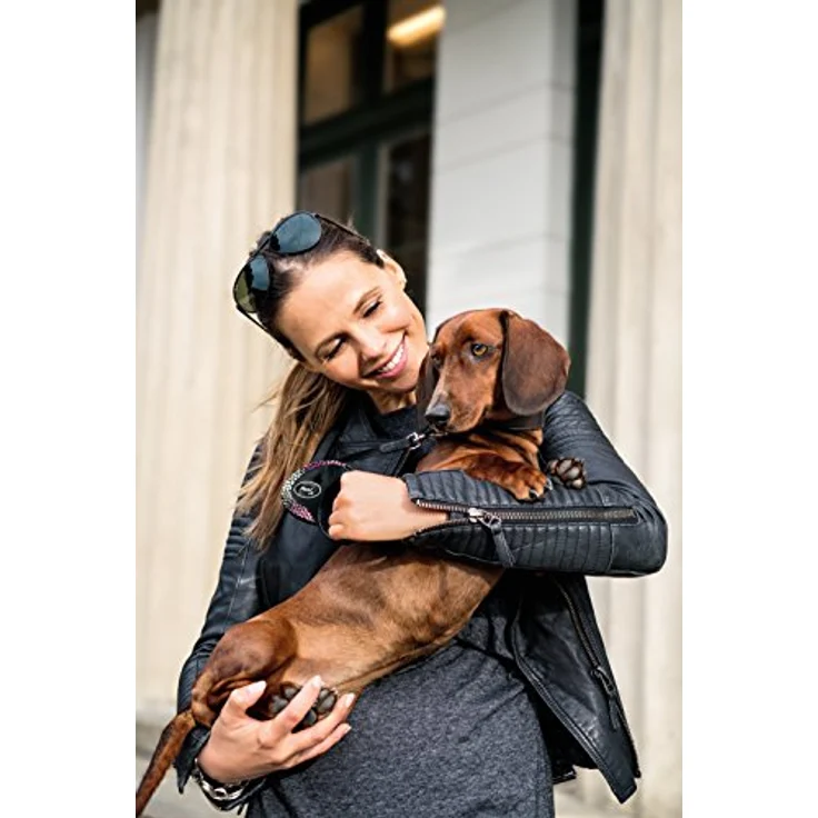 Flexi Glam Composition (S, Hund, Spazieren), Halsband + Leine – Bild 2