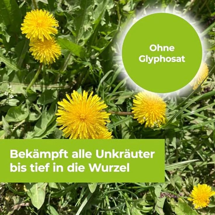 PROTECT GARDEN Permaclean Duo Unkraut & Wurzel Ex, Unkrautvernichter mit Zweifachwirkung gegen alle Unkräuter und Ungräser, 1000 ml – Bild 6